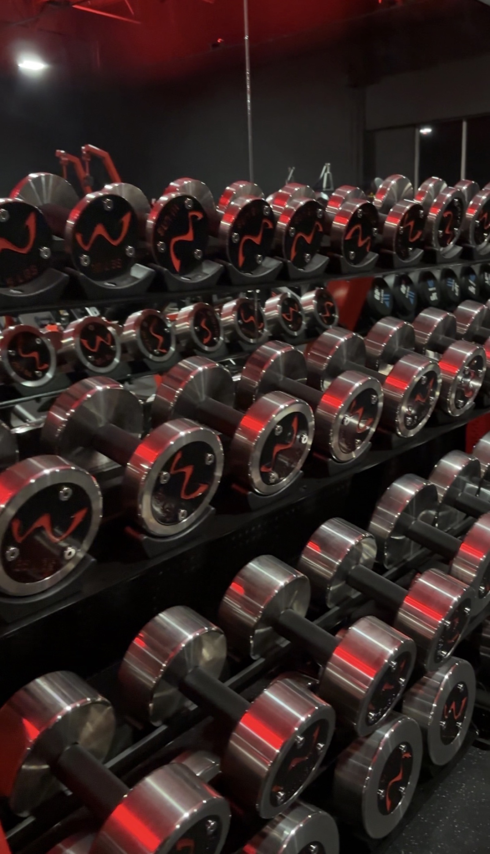 Dumbbells closeup